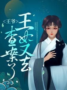 王爷，王妃又去查案了小说完结版章节免费阅读