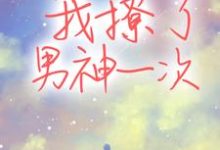 已完结小说《我撩了男神一次》最新章节-红梅文学