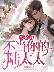 求叶婉陆云州小说免费资源