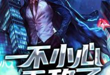 完结版《一不小心无敌了》章节阅读-红梅文学