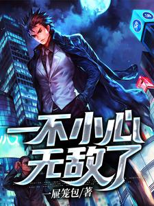 完结版《一不小心无敌了》章节阅读