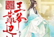 医毒双绝:王爷靠边站小说最新更新在哪里?免费在线看-红梅文学