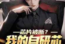 郝淮为主角的小说芯片被断?我的自研芯片火爆全球在线阅读-红梅文学