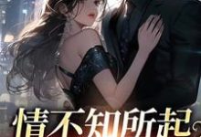 姜柚宋清野为主角的小说好看吗?求情不知所起,恋她极深免费试读-红梅文学