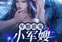 军婚甜宠:小军嫂又美又娇章节免费在线阅读,容景辰叶沐栖完结版-红梅文学