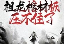 求苏林嬴政小说免费资源-红梅文学