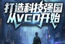 在线搜索徐华盛的完整小说,免费阅读打造科技强国,从VCD开始-红梅文学