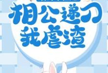 已完结小说《替嫁小医妃,相公递刀我虐渣》章节在线阅读-红梅文学