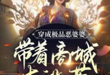 穿成极品恶婆婆,带着商城去逃荒(姜鱼陆镜辞)在线免费阅读-红梅文学