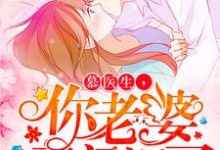 慕医生，你老婆又闯祸了这本小说怎么样？免费在线阅读试试-红梅文学