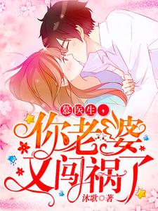 慕医生，你老婆又闯祸了这本小说怎么样？免费在线阅读试试