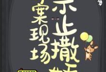 命案现场禁止撒娇免费阅读,命案现场禁止撒娇章节目录-红梅文学