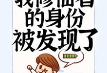 主人公叫叶寒的小说哪里免费看-红梅文学