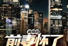 求离婚后,前妻怀了我的孩子小说免费资源-红梅文学