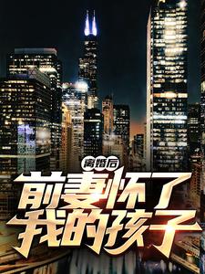 求离婚后，前妻怀了我的孩子小说免费资源