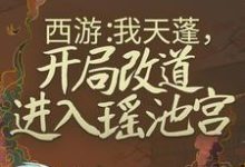 杜晨天蓬元帅为主角的小说叫什么?免费看西游:我天蓬,开局改道进入瑶池宫-红梅文学
