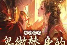 男女主人公裴璎秦峥小说宠冠后宫：卑微替身的逆袭指南章节免费阅读-红梅文学