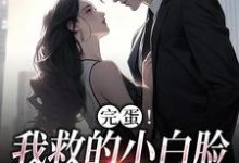 免费阅读沈听晚裴清礼为主角的小说，完蛋！我救的小白脸是京圈太子爷在线看-红梅文学