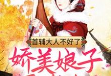 完结版《首辅大人不好了,娇美娘子要卖夫!》免费阅读-红梅文学