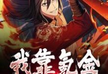 在线寻找我靠氪金无敌诸界小说的无删减版本-红梅文学