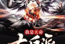 我是天命大反派孤凡凌欣,我是天命大反派小说免费阅读-红梅文学
