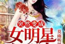 主人公叫云慕萱苏哲陈括杨玉雪的小说哪里免费看-红梅文学