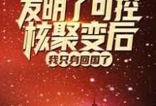 发明了可控核聚变后,我只身回国了最新章节,发明了可控核聚变后,我只身回国了免费阅读-红梅文学