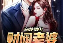 在线寻找高燃曲意绵的小说,乌龙婚约:财阀老婆不香吗?免费阅读-红梅文学