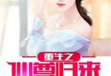 重生之仙尊归来小说完结了吗?在哪里可以免费读到?-红梅文学