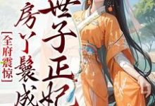 想读 乔晚傅清淮的故事,哪里可以免费找到全府震惊,通房丫鬟成了世子正妃?-红梅文学