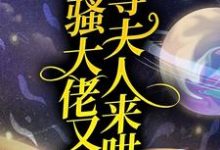 闷骚大佬又在等夫人来哄沈月瑶鹤云行小说免费阅读-红梅文学