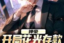 已完结小说《神豪：开局花光存款，双倍返利！》章节免费阅读-红梅文学