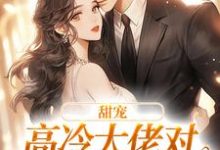哪里可以免费读到权今舟海泉的完整故事?寻找甜宠:高冷大佬对娇娇犯花痴了-红梅文学
