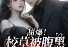 雪绒江静辰是哪本书的主角?寻找甜爆!校草被腹黑少女拿捏了免费阅读-红梅文学