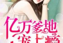 小说《亿万爹地宠上瘾》在线章节阅读-红梅文学