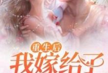 重生后我嫁给了残疾大佬小说,重生后我嫁给了残疾大佬章节在线阅读-红梅文学