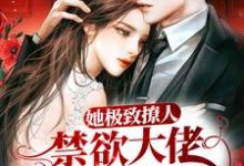 她极致撩人,禁欲大佬清醒沦陷顾南舟沈喻在线章节免费阅读-红梅文学