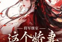 主角江素槿沈衍丰小说将军继室:这个娇妻谁爱当谁当免费阅读-红梅文学