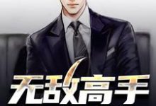 小说《无敌高手在都市》章节免费阅读-红梅文学