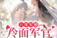 求八零军婚:冷面军官甜蜜爱小说的全文免费阅读链接-红梅文学