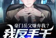 完结版《豪门岳父嫌弃我?我反手干个一等功》章节阅读-红梅文学
