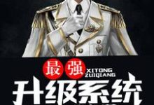 求最强升级系统小说免费资源-红梅文学