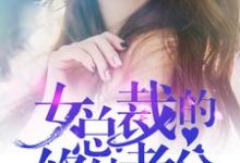 女总裁的修仙老公小说的所有章节都能在哪里免费读到?-红梅文学