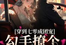 穿到七零成团宠,勾手撩个兵哥哥纪瑾瑜小说在线章节目录阅读最新章节-红梅文学