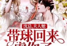 沈总,夫人她带球回来虐你了小说阅读,沈总,夫人她带球回来虐你了完结版-红梅文学