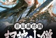 在线寻找开局藏经阁扫地小僧,我无敌了小说的无删减版本-红梅文学