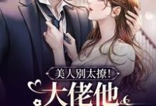 美人别太撩!大佬他装不下去了小说完结版章节免费阅读-红梅文学