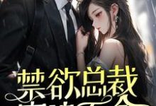 禁欲总裁穷追不舍,她掉进温柔乡了免费阅读,禁欲总裁穷追不舍,她掉进温柔乡了傅景珩墨柔-红梅文学