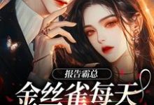 傅婳裴闻渡为主角的小说好看吗?免费读报告霸总,金丝雀每天都在装乖巧-红梅文学