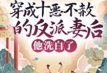 穿成十恶不赦的反派妻后,他洗白了崔晚棠宋彧小说大结局免费试读-红梅文学